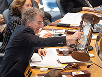 Christoph Heusgen im UN-Sicherheitsrat. Foto: UN Photo/Eskinder Debebe