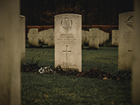 Reichswald Forest War Cemetery. Foto: Alexander Andrews/Unsplash