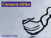 Krisengespräch zu Corona in Afrika. Grafik: Heinrich-Böll-Stiftung Hessen