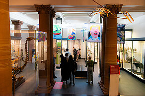 Visitors walk through the exhibition. Colorful posters hang between skeletons and stuffed animals.
